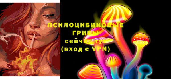 прущие крисы Рославль