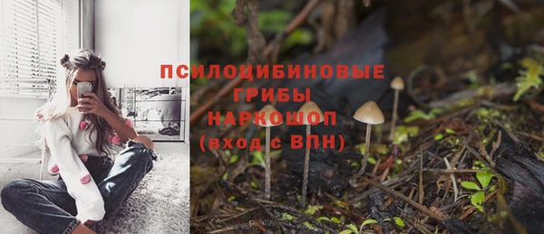 прущие крисы Рославль