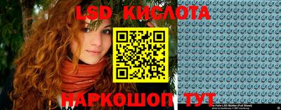 молекула духа Сланцы