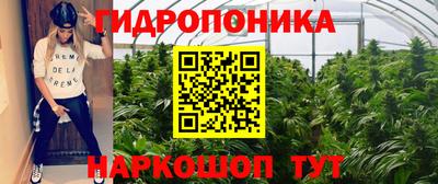гидропоника Славянск-на-Кубани