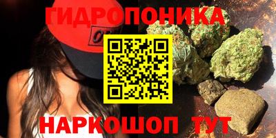 эйфоретик Славгород