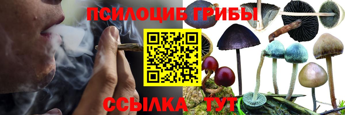 Галлюциногенные грибы Psilocybine cubensis  Псилоцибиновые грибы Cubensis  Вход с VPN  Слободской 