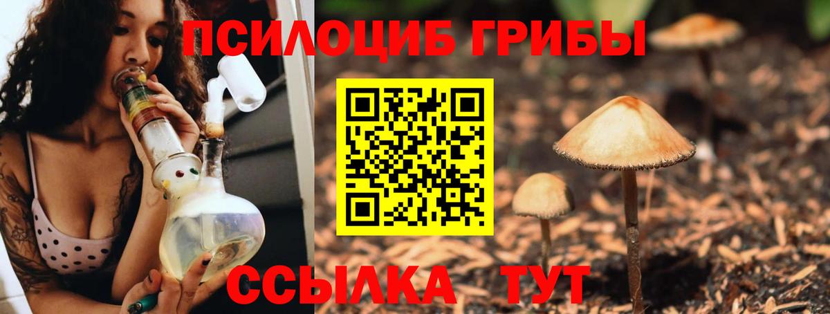 Галлюциногенные грибы Psilocybine cubensis Слободской